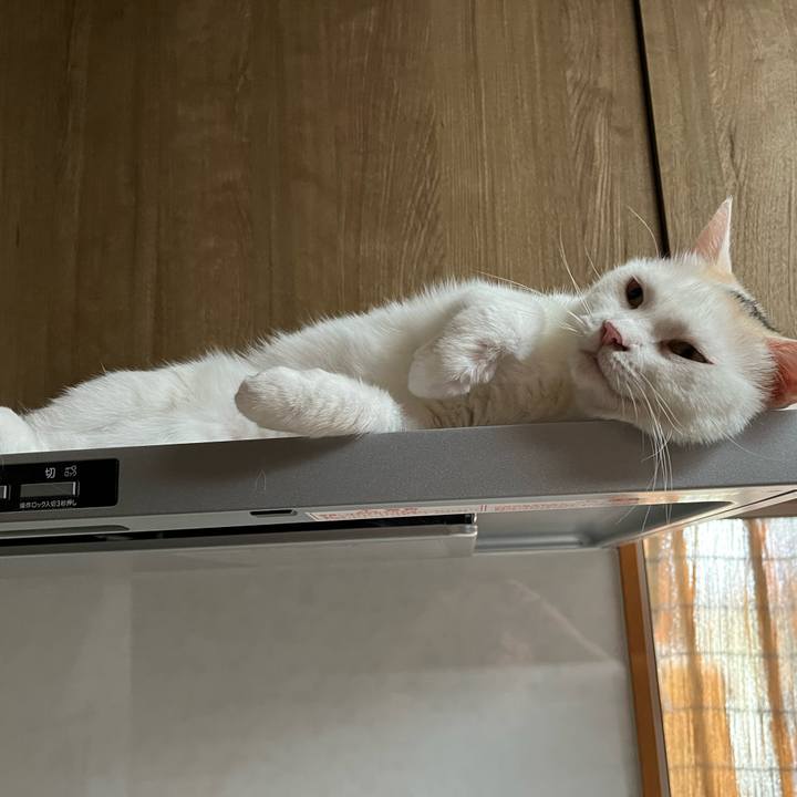 422118ac e71c 4007 8fe1 2b349456e17c 1753137366196