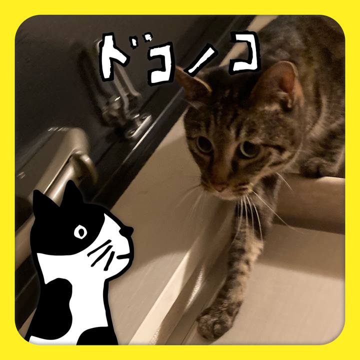 422128e7 3e7e 4ec8 a55f edde3cc393a0 1622961995218