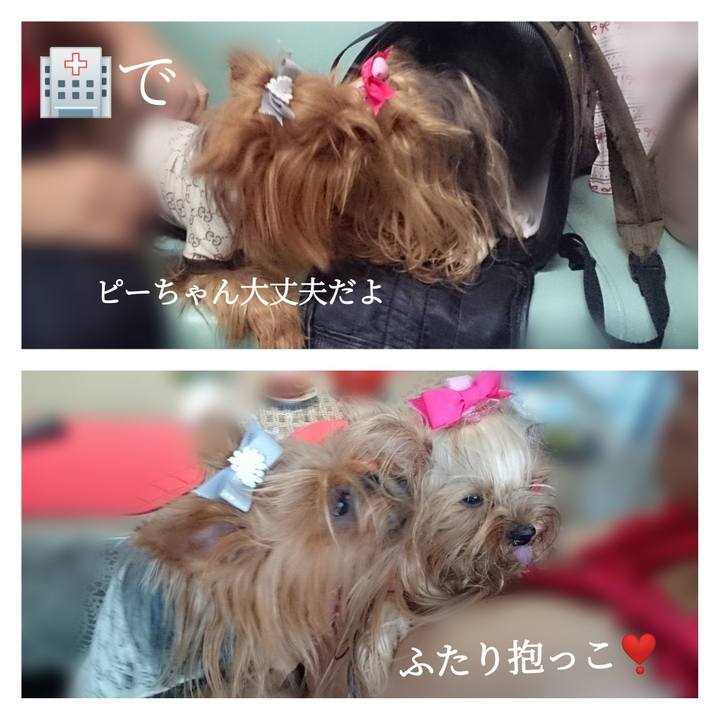 42213605 0b31 4a21 88c2 a4a85ae7a787 1691453980014