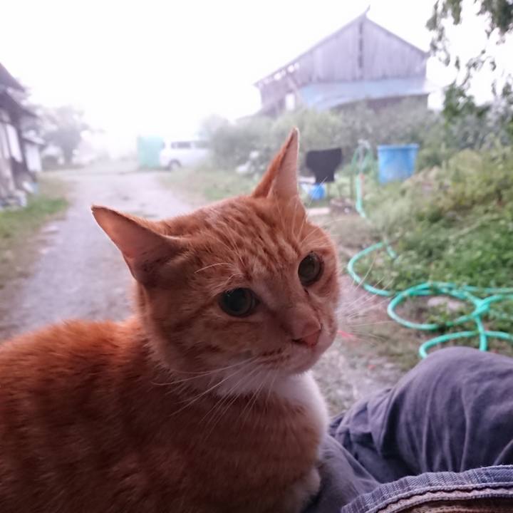 42214f72 9364 4292 a4b8 6e69239a1330 1569531683959