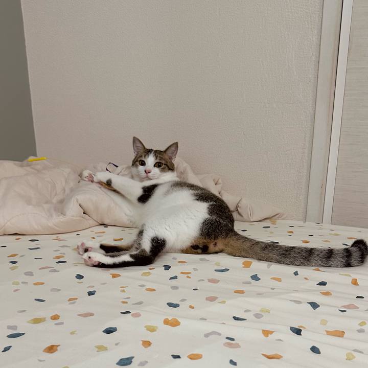 42215215 3c88 41c1 8943 11c3d81ba829 1758031096378