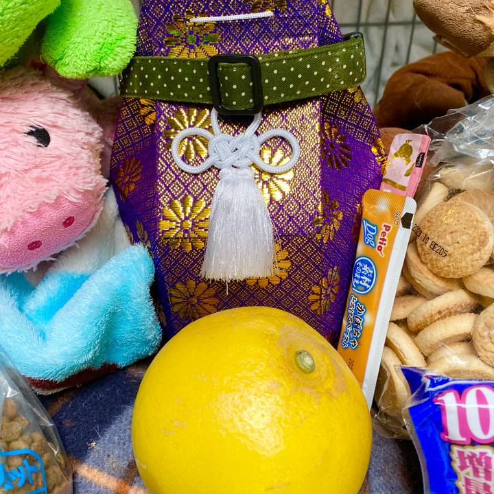 42217d22 6542 441f b387 e3228e9bd7c0 1677037178540