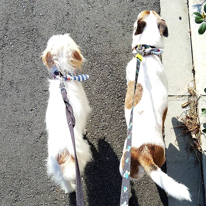 42218896 c410 41ec a917 7171e3a93c8f 1565478948369