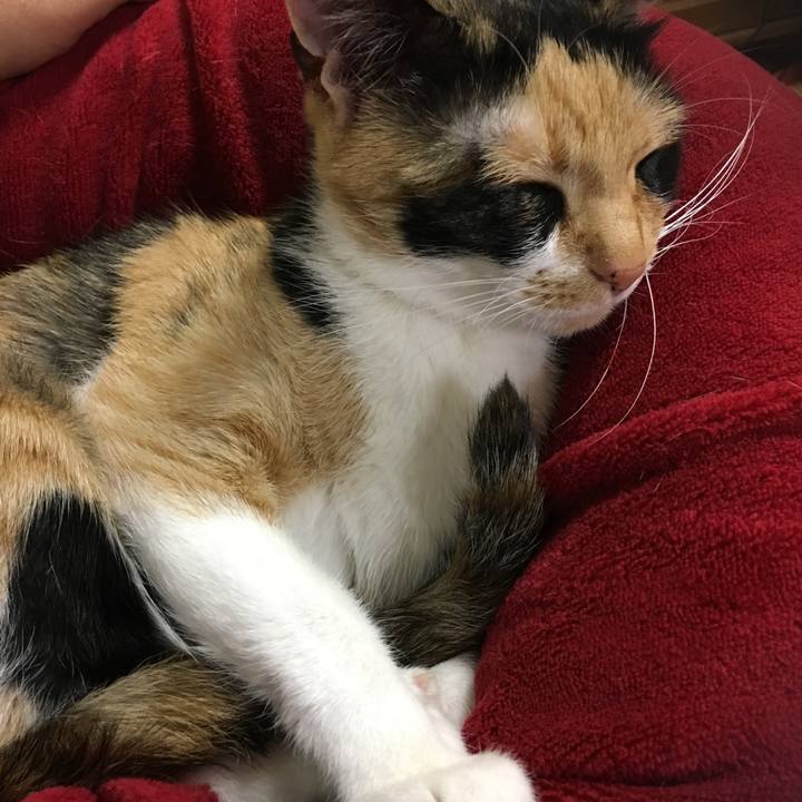 4221ad76 b489 4d9c 8aa7 2be6415406d4 1511788867371