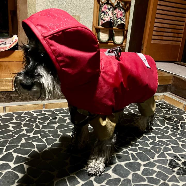 4221b5b7 7bfc 43fa 84db 59b96968ec0a 1733232374337