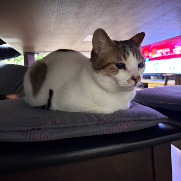 4221ca56 6c88 42c6 9e19 4d71f4ce9268 1776379791640