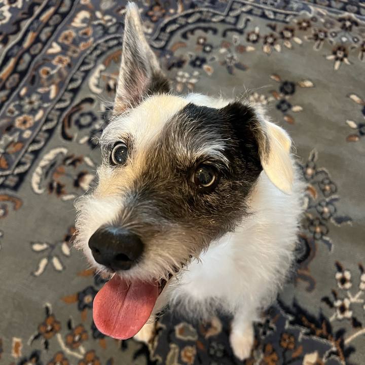 4221d475 3d98 4fa6 9e27 9cfff6e87183 1677123117575