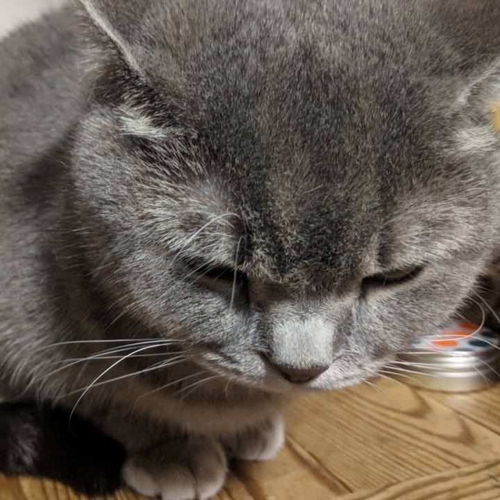 4221e469 6089 4f59 9a65 4c36c5d5d9be 1540631411025