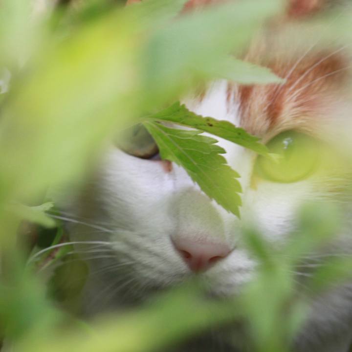 42220053 6144 429f 99bb 14fe066c49dd 1528962406477