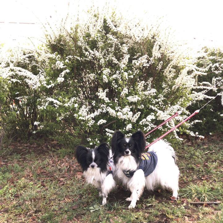 4222351c d204 4fbe 97bd 282d643d7f01 1522192693739