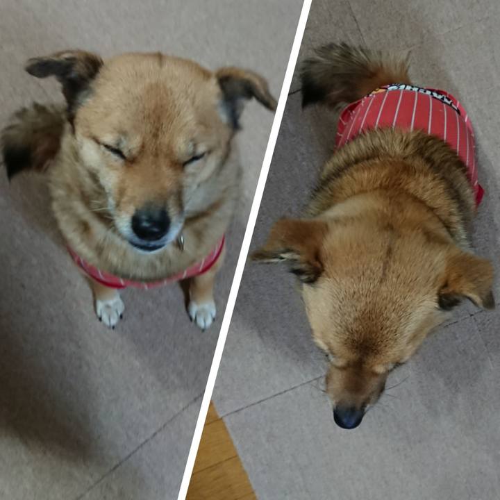 42225358 2682 4ed1 b77a d09451155a22 1611921112840