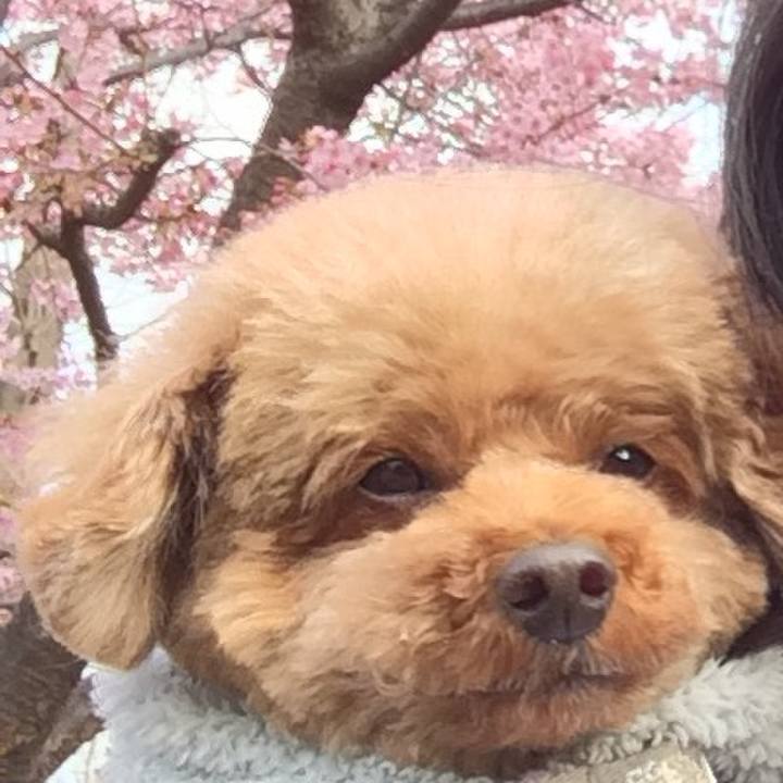 4222592b bab6 4e26 b9b6 a7a2519d4393 1774571883091