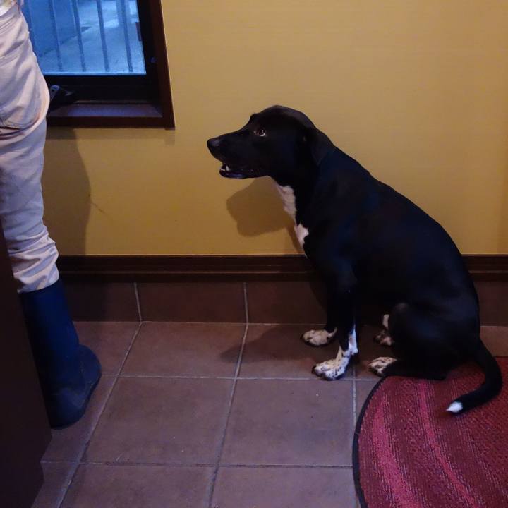 422273ea cbe4 48d8 be47 2f1d1a97868c 1595499613380