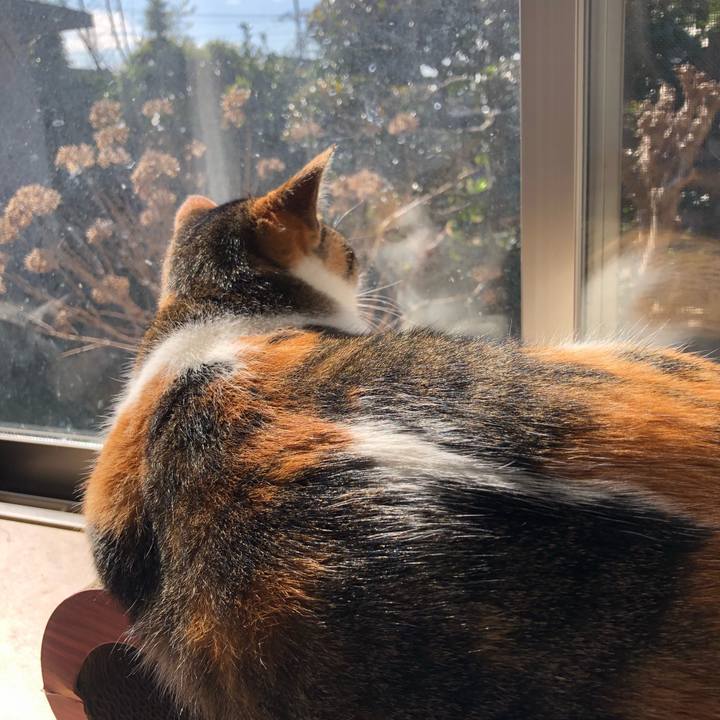 42228766 08fa 434d af9d b091c50413e6 1581475367765