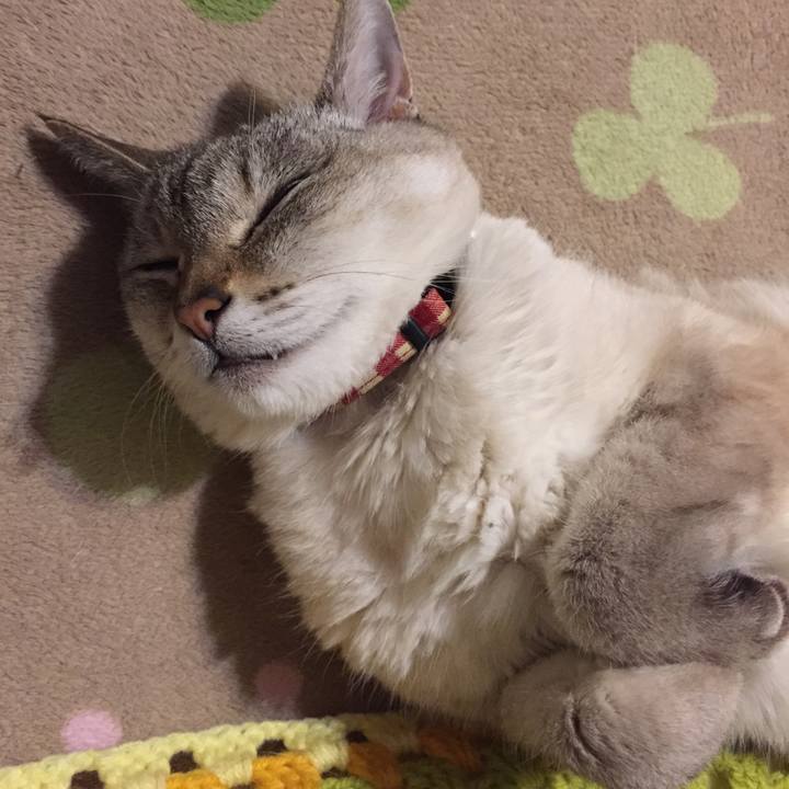 42228b50 8c2d 4471 a24a 2051ce2c8f70 1550056245429