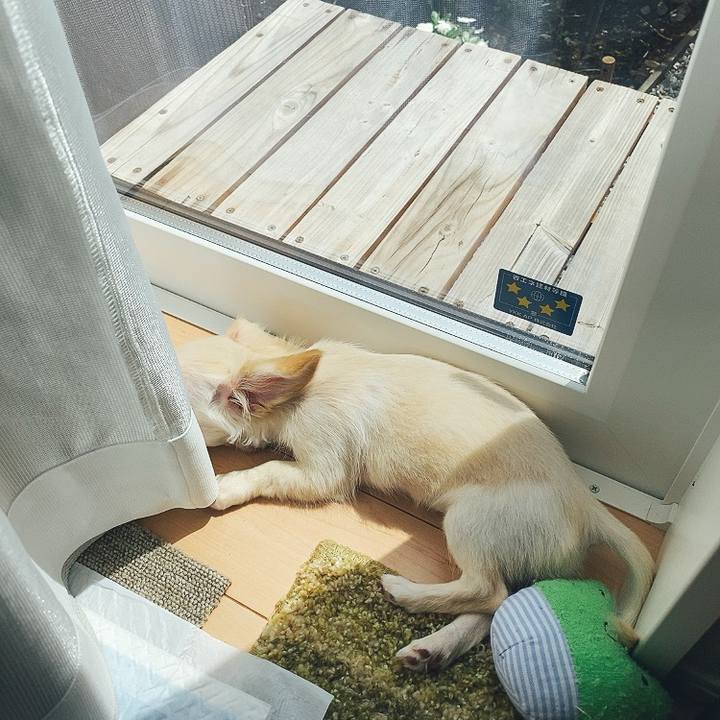 42229791 81e7 4391 aa20 c3630d4e8148 1591146732728