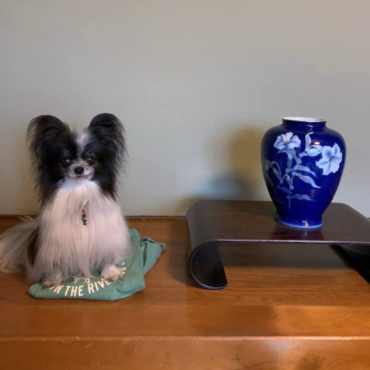 4222ce21 4b8f 40dc 9498 38894822c63a 1624105713023