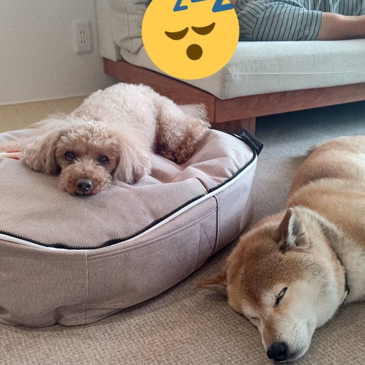 4222d60d d008 4e30 a5a3 cd1caf56de5b 1624179510213