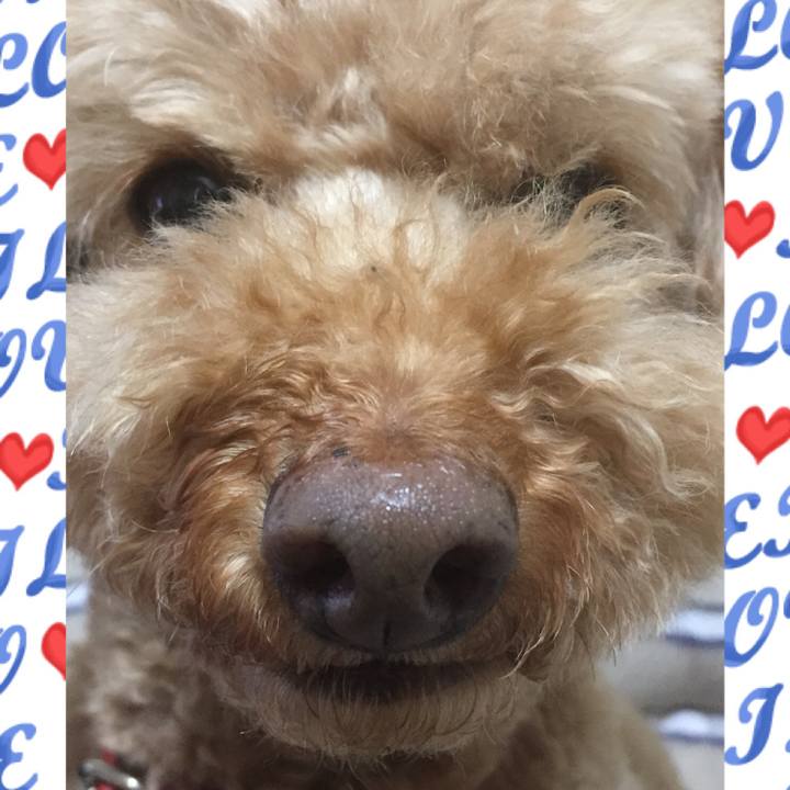 4222f5cb 4efe 49c2 b986 6eded40aa98f 1523477543894