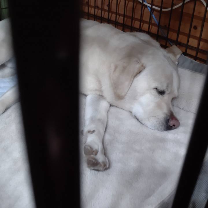 422353ec 6c6d 4aef 8a0d 7c919a5b937e 1634384886751