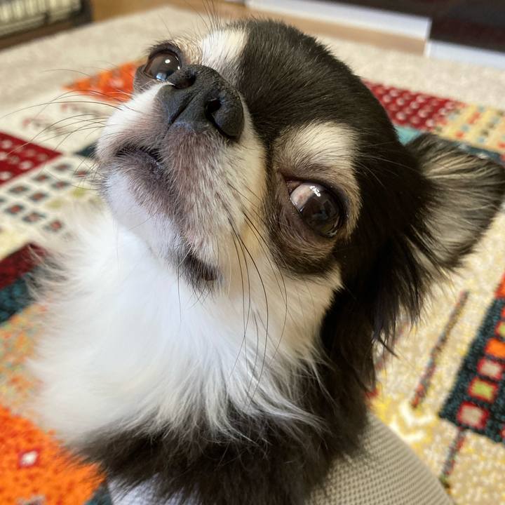 42237125 1b37 4b1f a760 3aa3f844a8b1 1693666146166