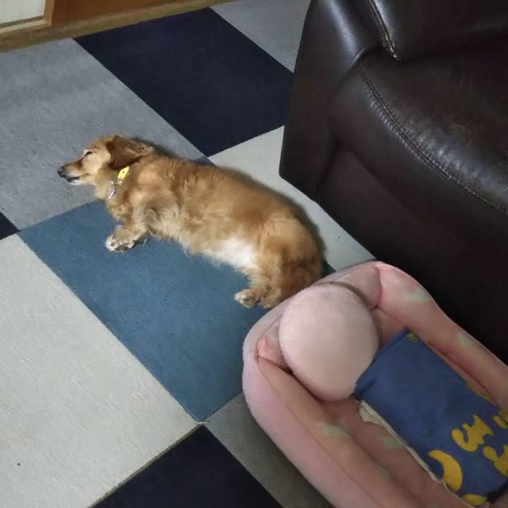 4223c20d ba11 4321 ba5a 46dc35f4843e 1595859724774