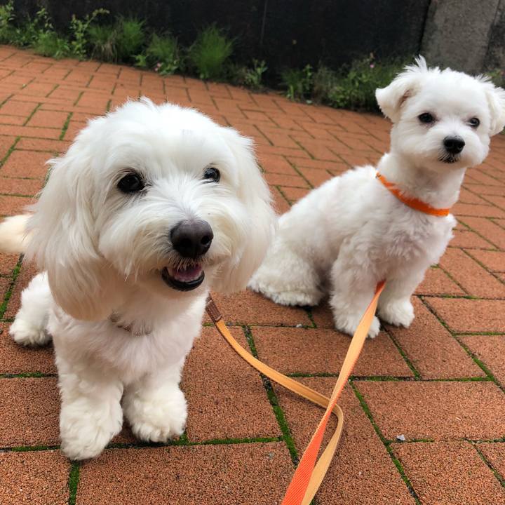 4223c6a8 c8d1 438c 8b64 d83c08fb01da 1529548434219