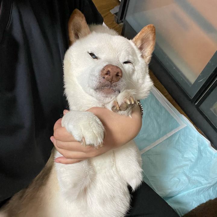 42242f73 77cc 4492 9d93 c848a53da407 1636351997650