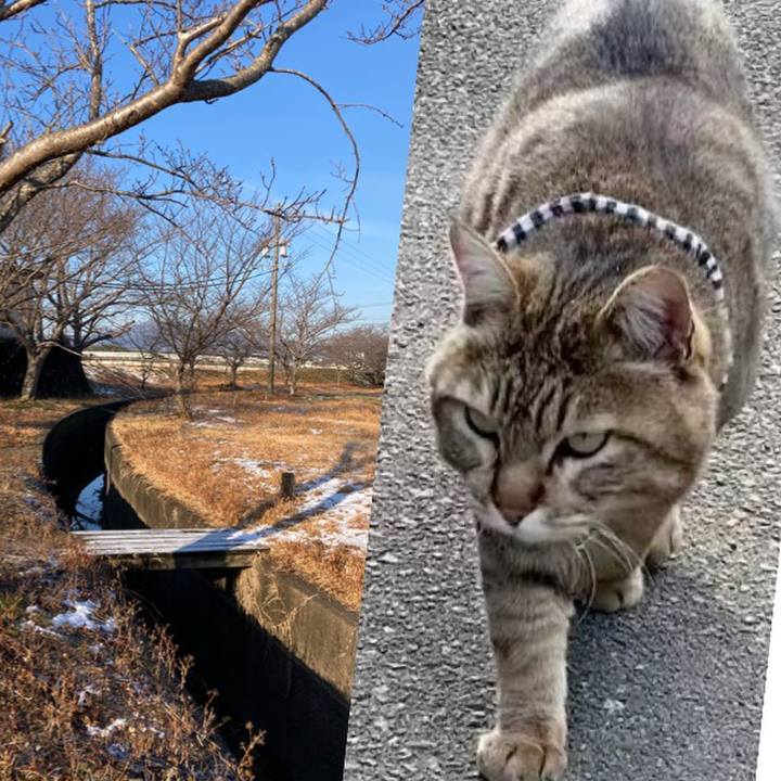 42243ec0 25ff 4fed 8638 26dfbaa4c900 1770684513503