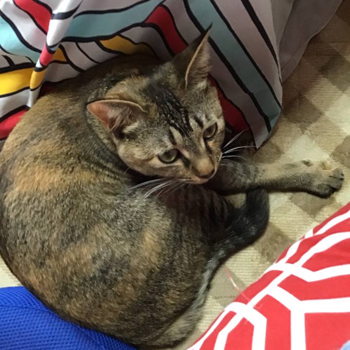 42244a03 8315 4e2b b5a9 f4bc9807451c 1583547839034