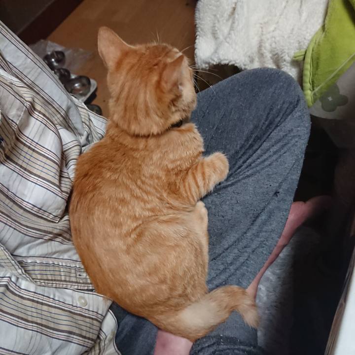 42244d38 31ef 4602 a858 c81d08c526db 1634463865707