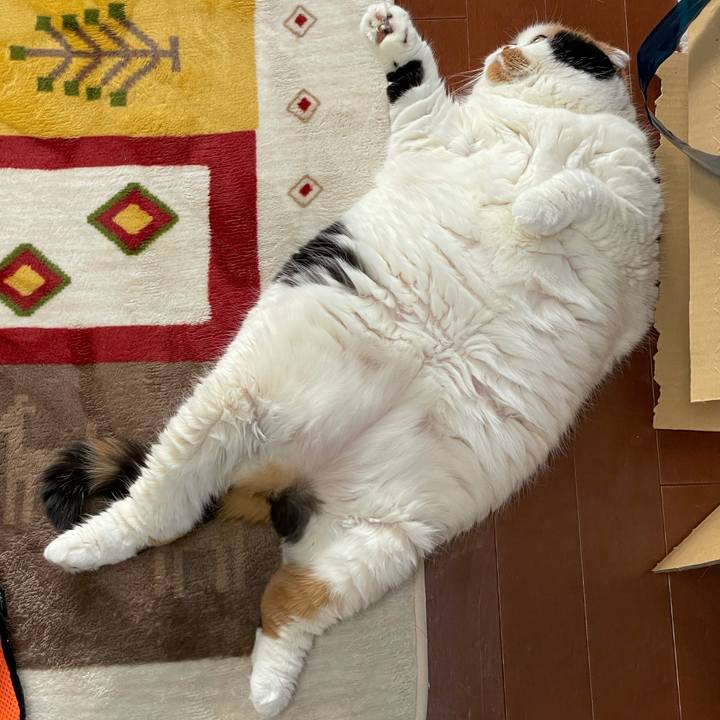 42245913 d4d9 47fb bdc2 ee27ba4d4025 1611993177914