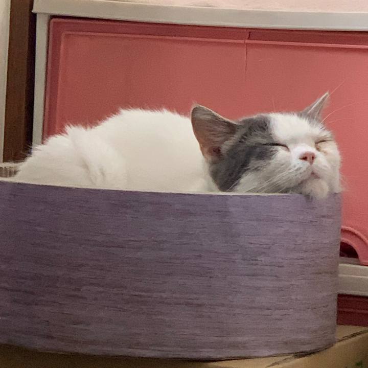 42249ed4 559a 4c50 9a6f 23467287aca6 1630716912970