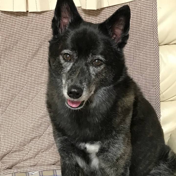 4224afe1 347c 4ac1 a4b0 9df3eaf07283 1508856015134