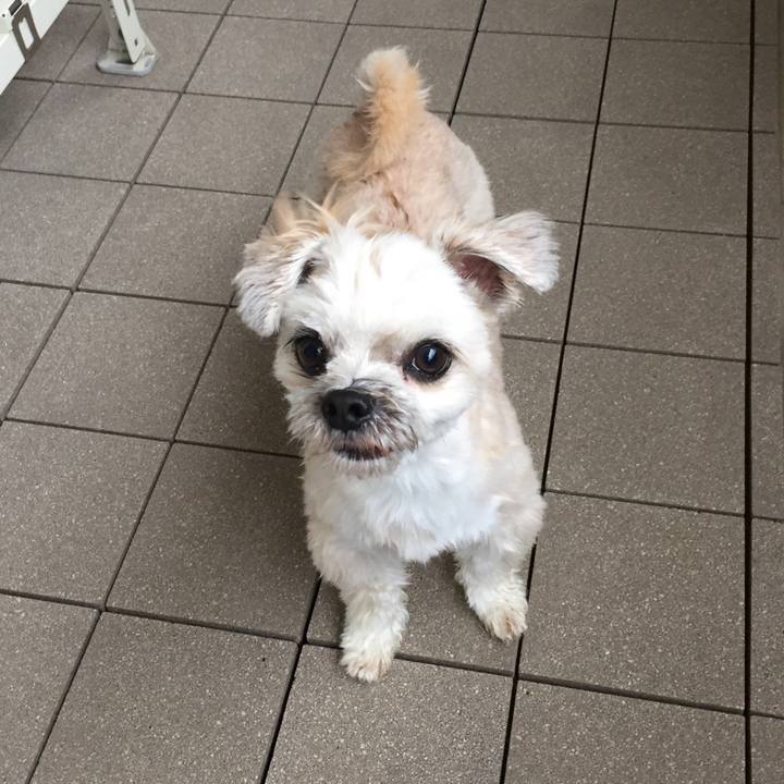 4224ca26 91d3 4538 8267 d9ee7e217d57 1562323825520