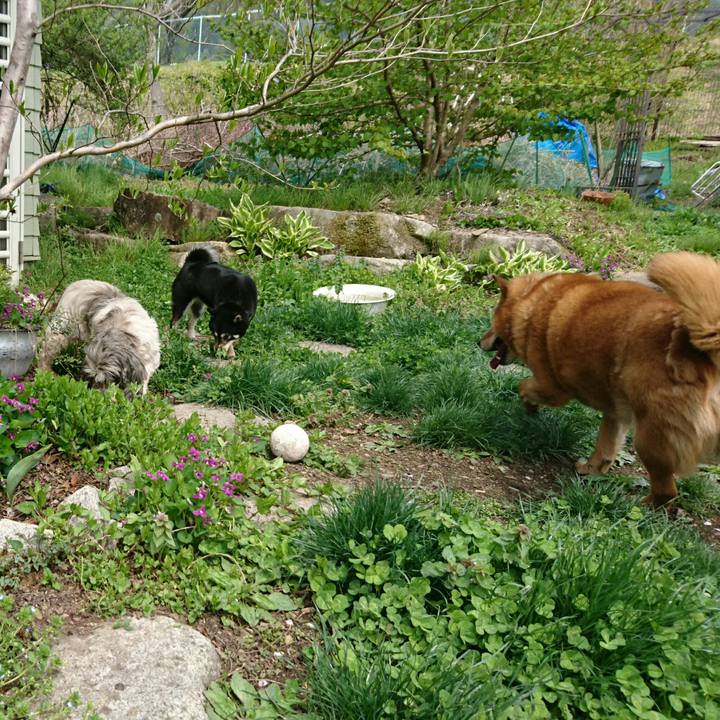 4224f2f0 44a3 4156 b033 dab9ee32bb40 1556867028028