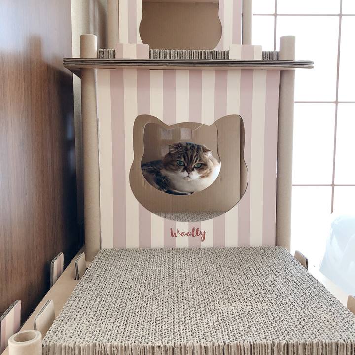 422520f0 6c3c 463e 8d93 1cf1b537303d 1590892230728