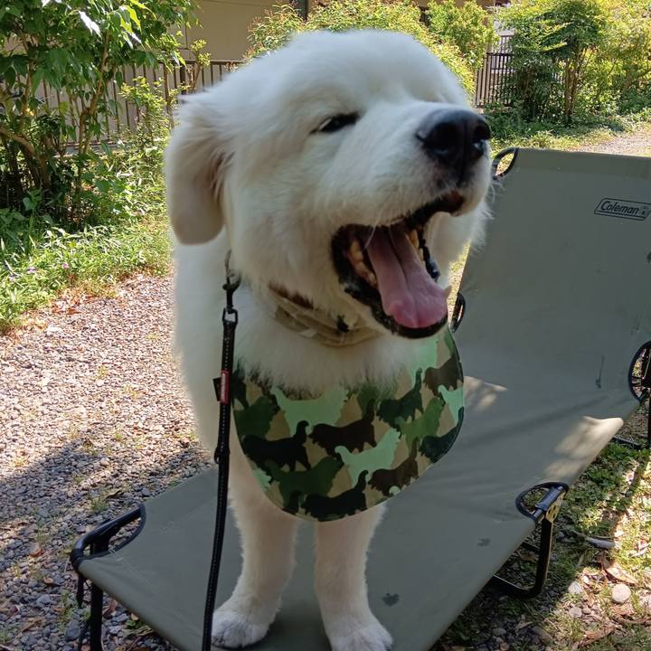 422575d6 3396 493b 98ce 4e3079a3114c 1715663567859