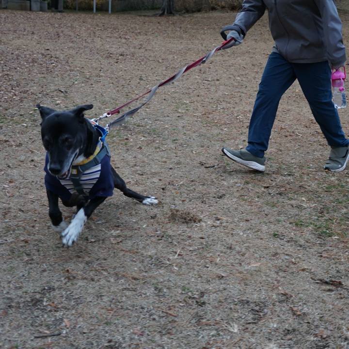 422591b9 d1af 44ad 8e1e 8e62fd894d1c 1766363000205