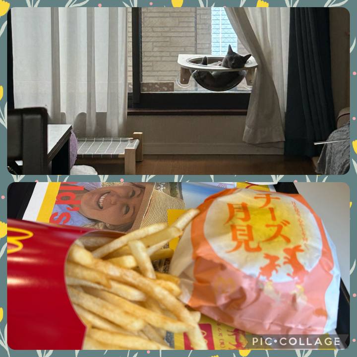 422596c6 40b6 4149 954d 451c4f62de3a 1694835033696