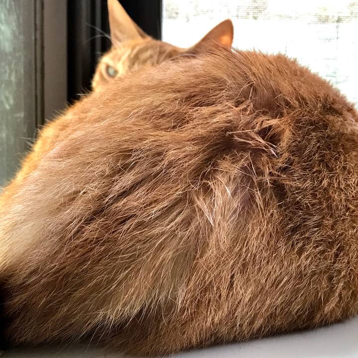 42259aaa 8a45 40db b250 414c113d448e 1526458224393