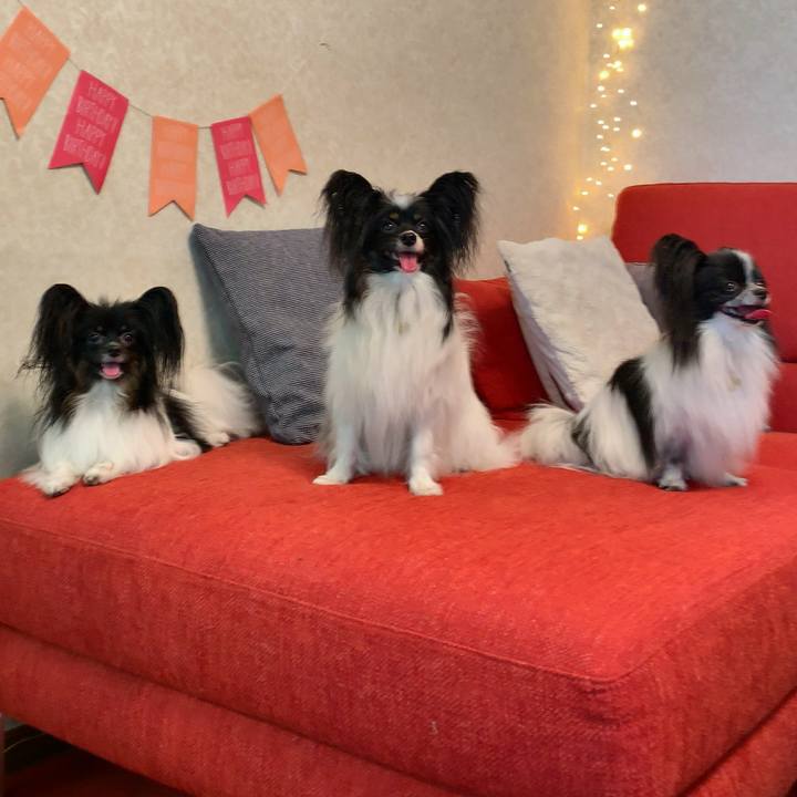 422626cb 44ef 4847 ac35 297ef05f07da 1560671739028