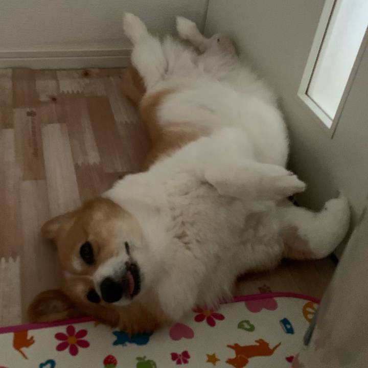 42262a0b 0c38 4fc5 a3da b5c35c71db83 1718707642593