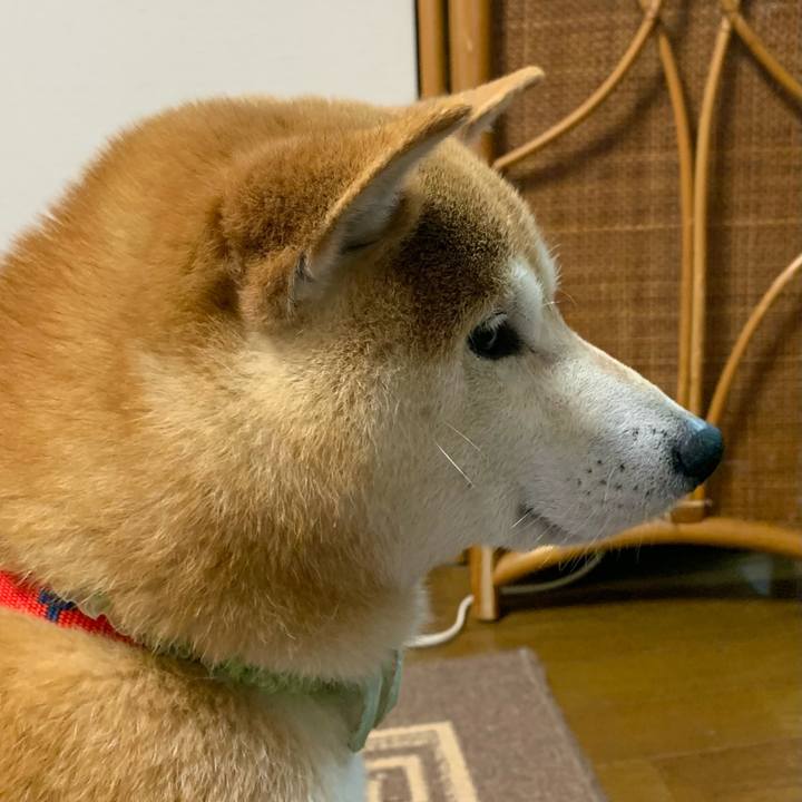 42264f8b 42ee 4656 bd83 f1a5b2b85794 1653742653837