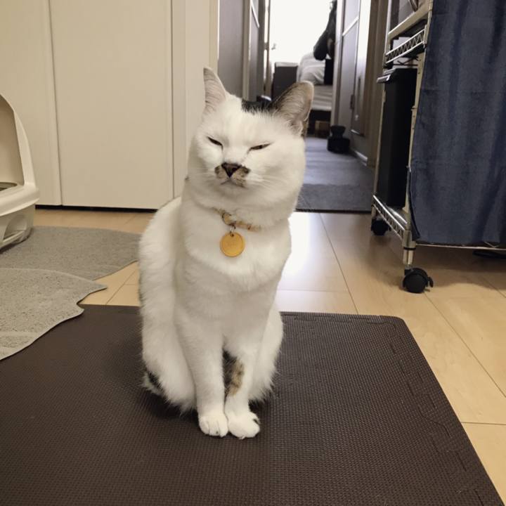 422690b6 410a 46ac b10e 35117e29a61b 1553311003793