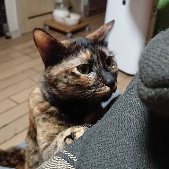 42269f26 c625 4447 a2ef 6469056074c1 1562242310650