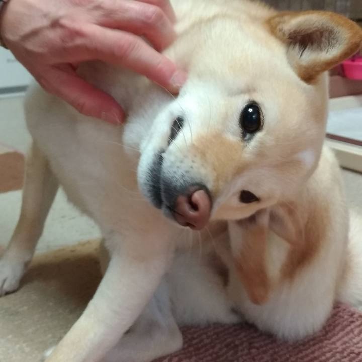 4226b077 c9a5 4428 9fa8 2d37daecf12d 1582634659521