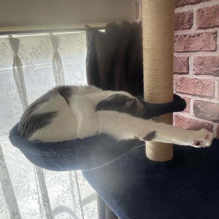 4226c8dc a45b 49d8 905f 6ade18d80b0d 1638154137058