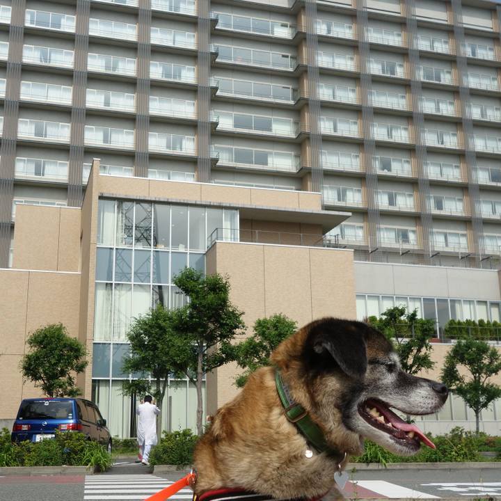 4226db8a 1404 43ad 852f daac9027169b 1526604187584