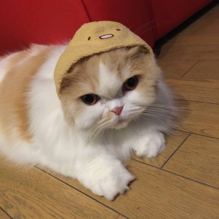 422713d3 cc73 4cd7 8b76 74cc446fffcb 1529923317651